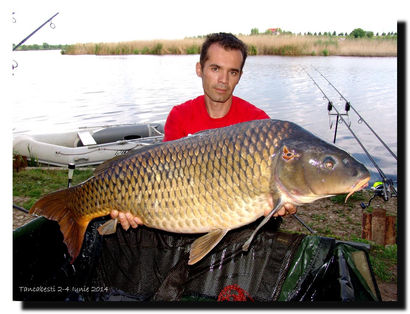 1-4 iunie tancabesti - dsc00159.jpg